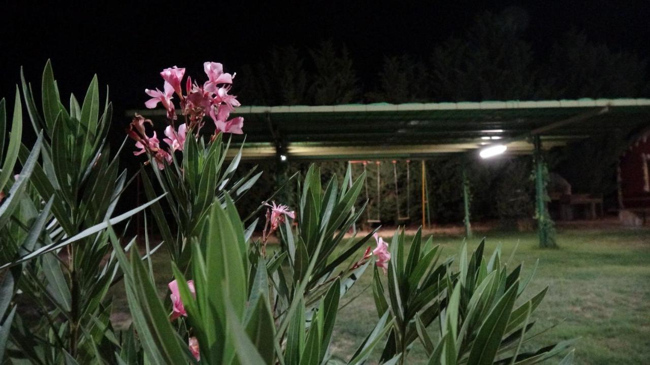 Finca Entrevinedos De Bodegas Marcos Peñafiel Esterno foto