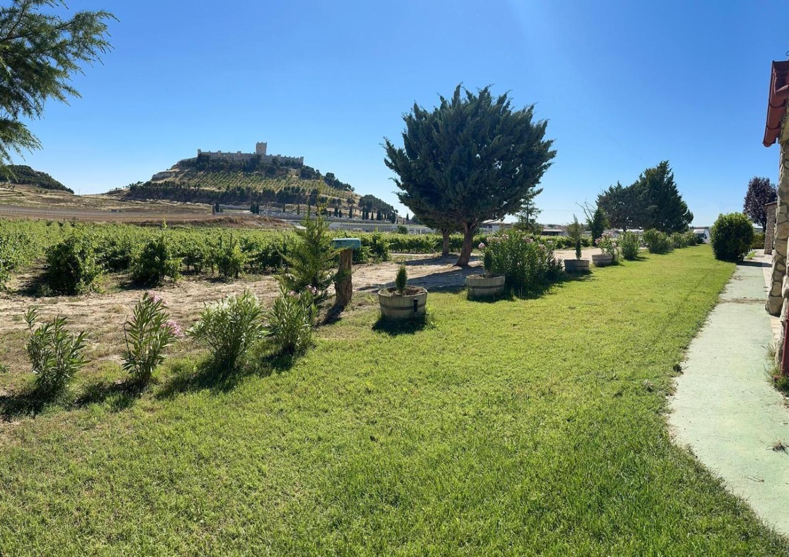 Finca Entrevinedos De Bodegas Marcos Peñafiel Esterno foto